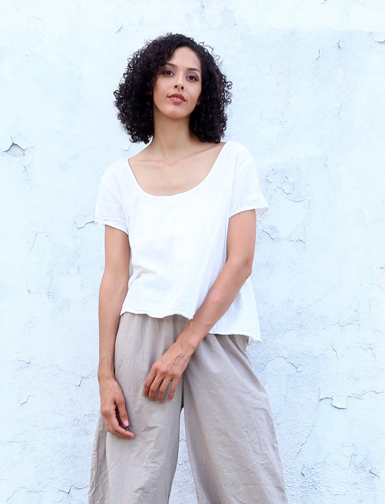 Everyday Wanderer Cropped Shirt