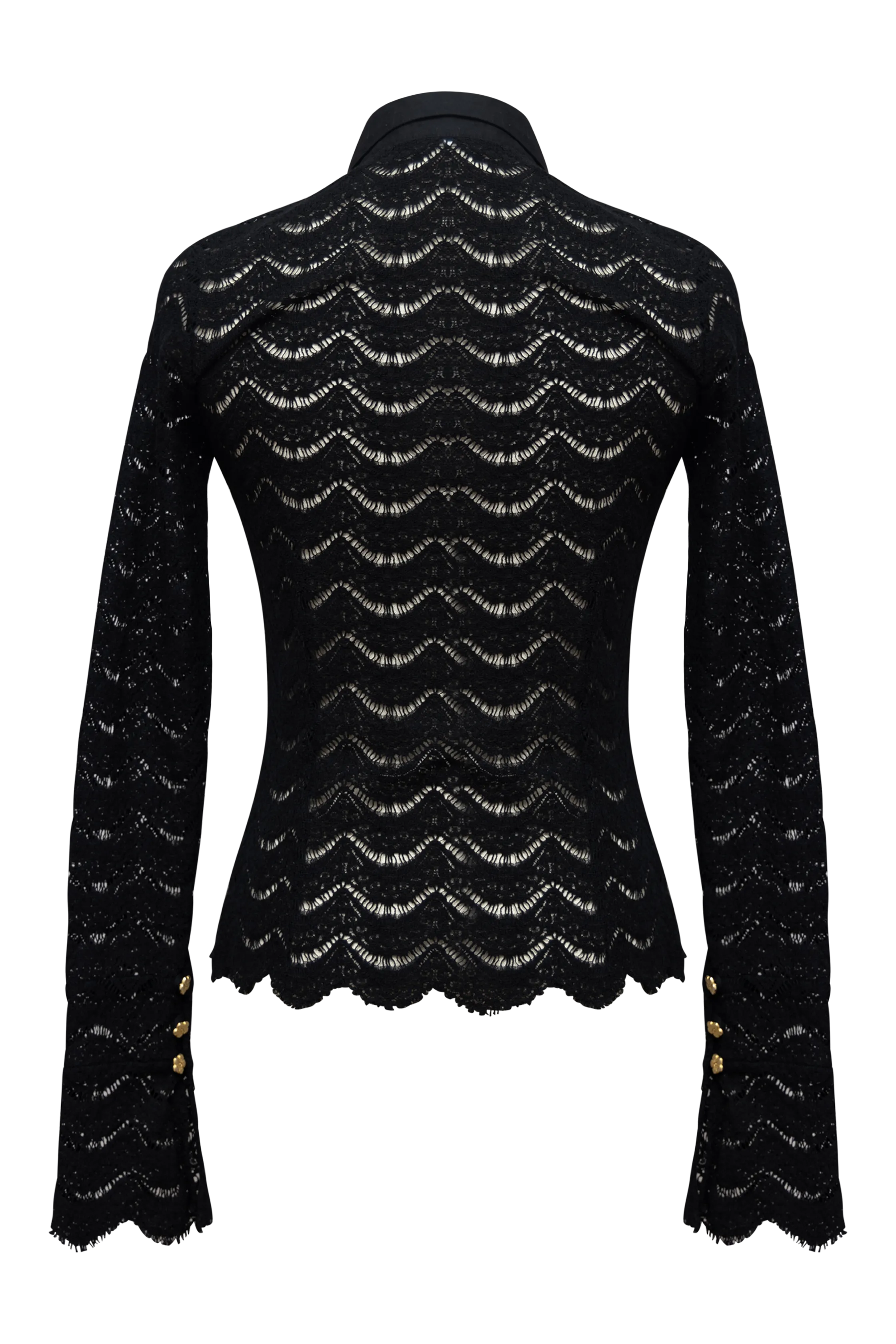 Joan Sheer Lace Top