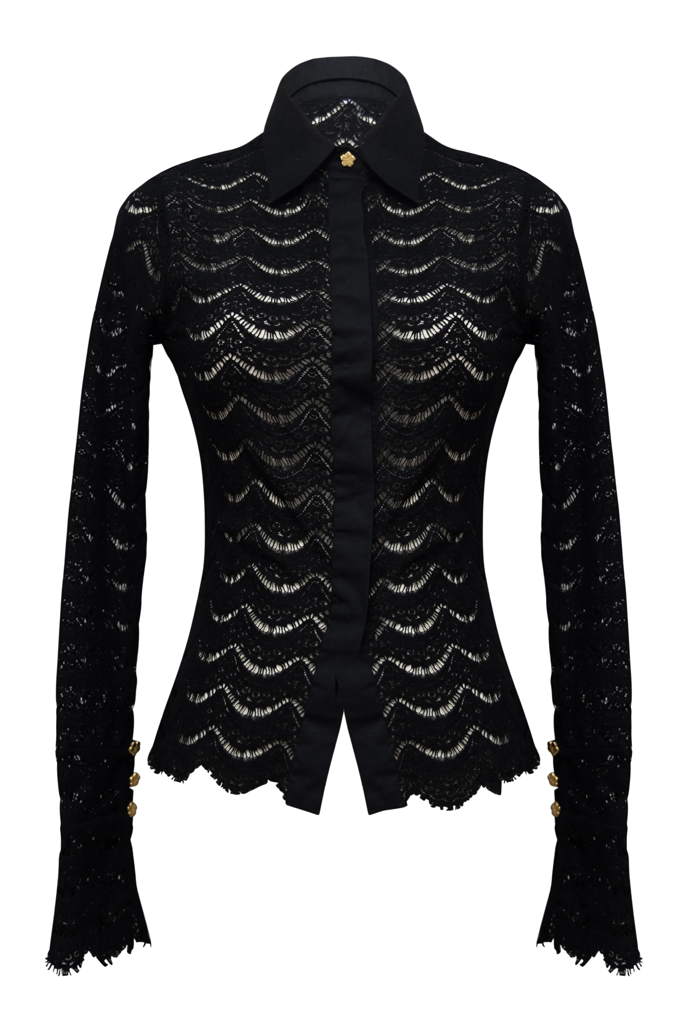 Joan Sheer Lace Top